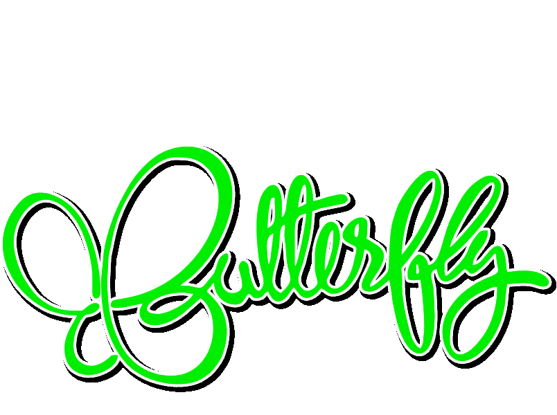 Digital-Media-Butterfly-Marketing-Agency